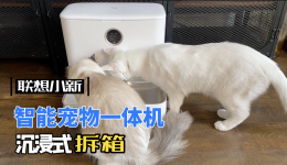 不吹不黑,谈谈我使用联想小新智能宠物一体机一周感受 不吹不黑,谈谈我使用联想小新智能宠物一体机一周感受